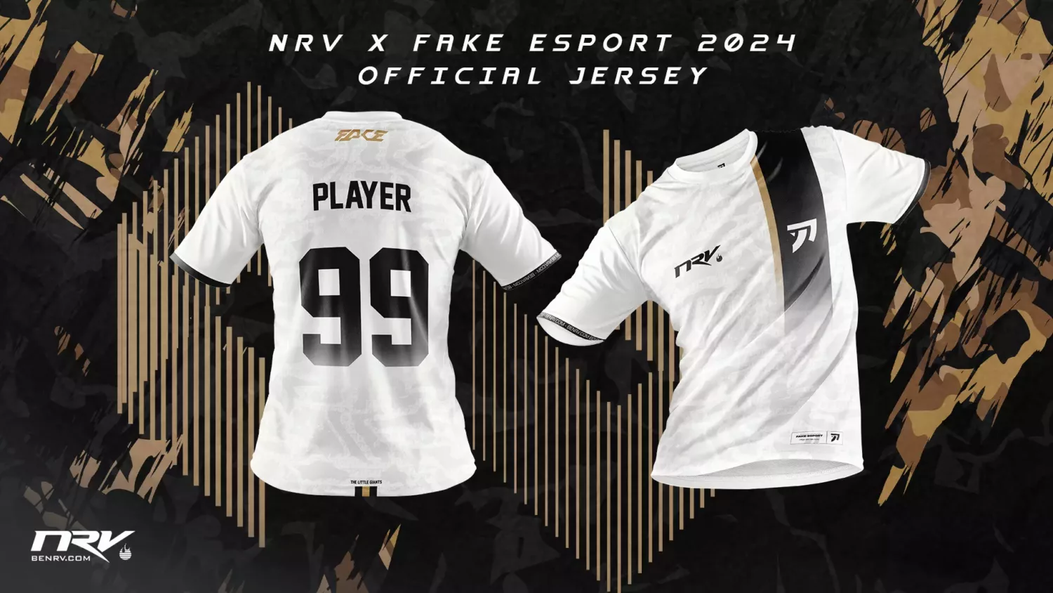 Mockup_FAKE_NRV